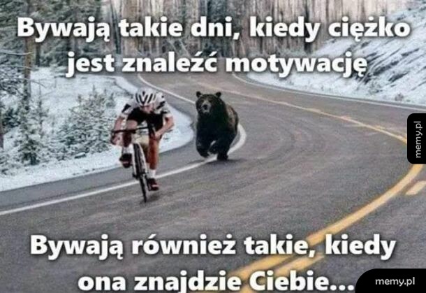 Kolarz uciekający przed biegnącym za nim niedźwiedziem na krętej drodze.
