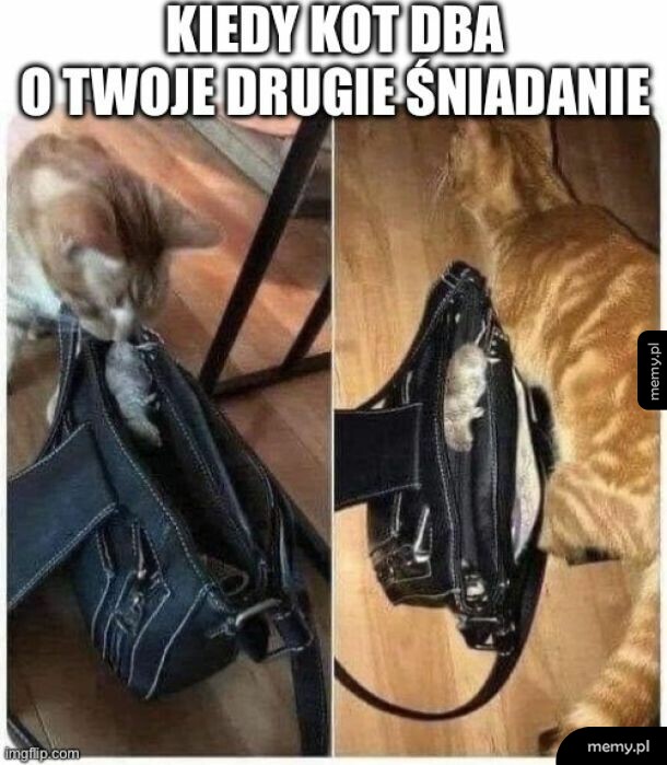 Śniadanko