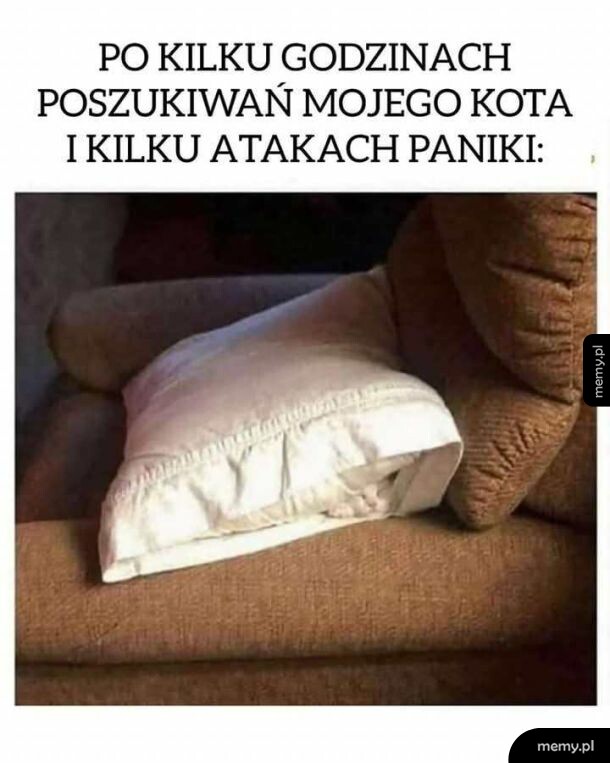 Biała poduszka na brązowej kanapie, pod którą ukrywa się biały kot