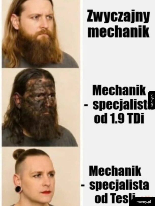 Mem przedstawiający trzy typy mechaników: zwykłego, od 1.9 TDI oraz od Tesli.