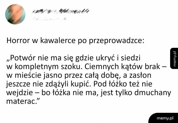 Zrzut ekranu z tekstem o horrorze w kawalerce po przeprowadzce.