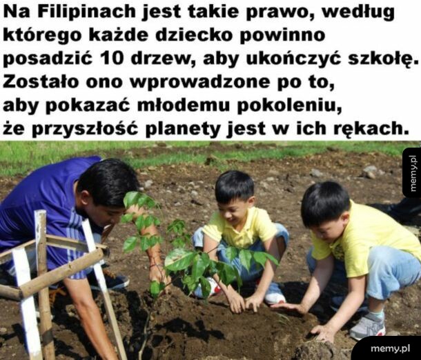 Dorośli i dzieci sadzący drzewa na Filipinach