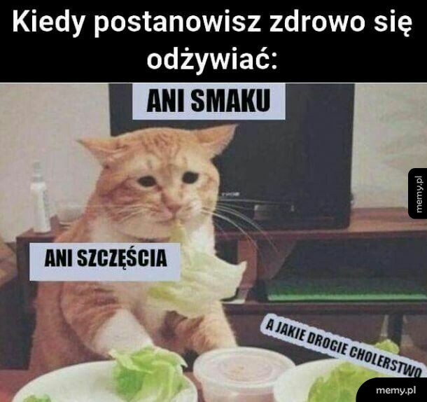 Dieta
