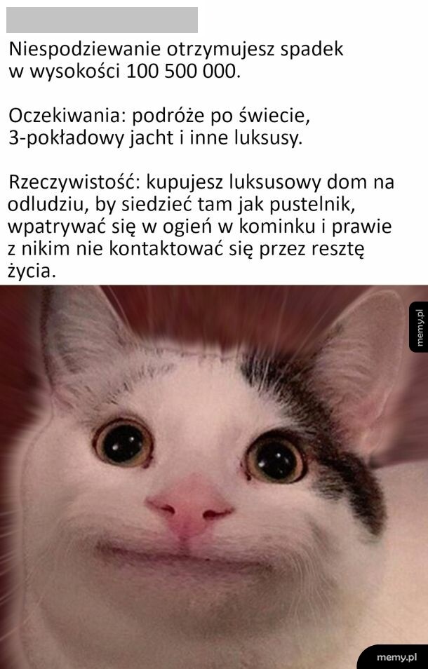 Mem z kotem o niezręcznym uśmiechu i tekstem o niespodziewanym spadku