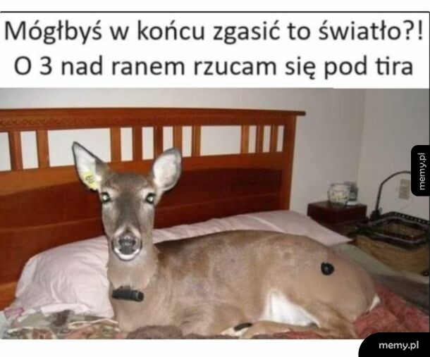 Musze się wyspać