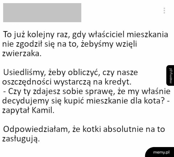 Tekst na białym tle o parze, która decyduje się na kupno mieszkania z powodu kota.