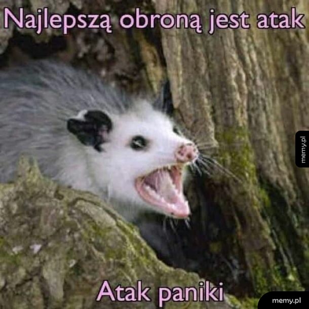 Do ataku!