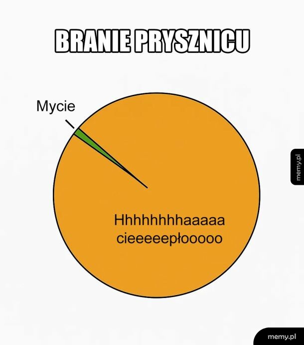 Wykres kołowy przedstawiający podział czasu podczas brania prysznica.