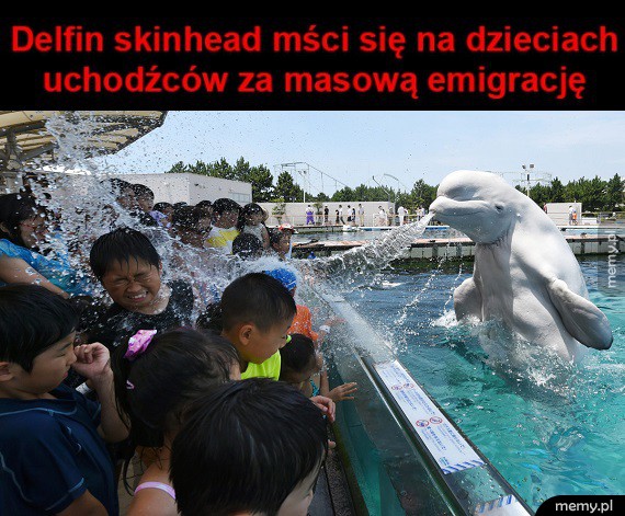 Heheszki