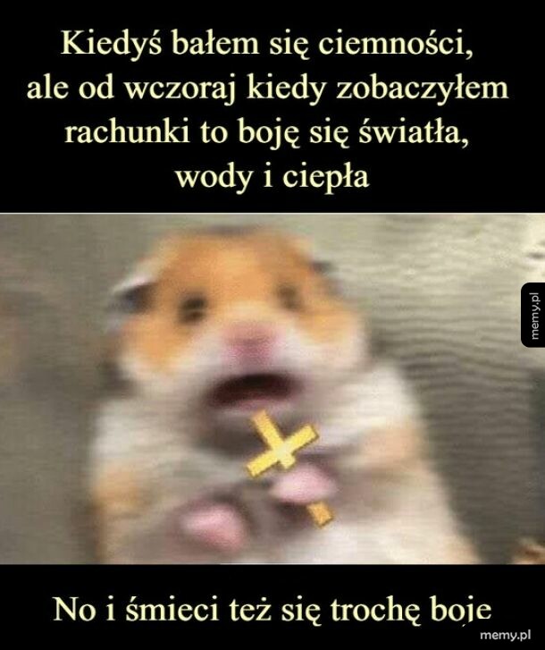 Przerażony chomik trzymający mały krzyżyk na czarnym tle z białym tekstem.