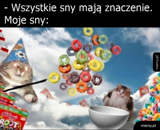 Kot czarodziej w czapce z biczem z płatków śniadaniowych na tle chmur.
