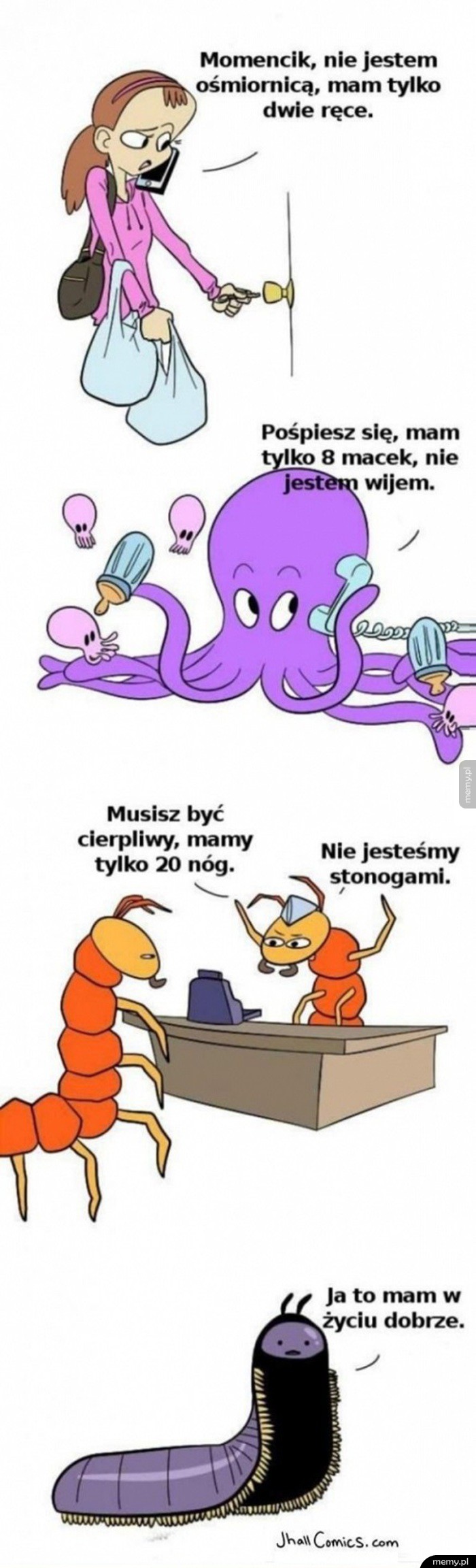 Wymówki