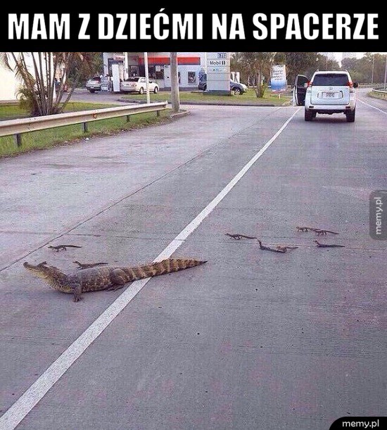 Mam z dziećmi
