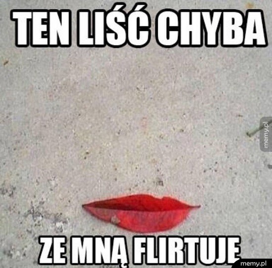 Zalotny liść