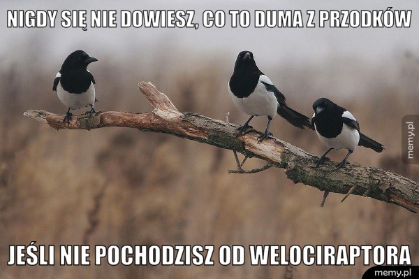 Duma z przodków
