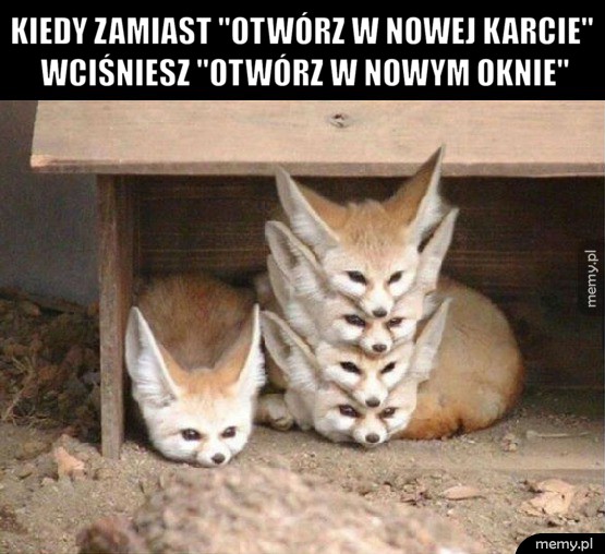 Firefox