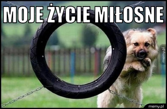 Moje życie miłosne