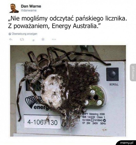 Strażnik licznika