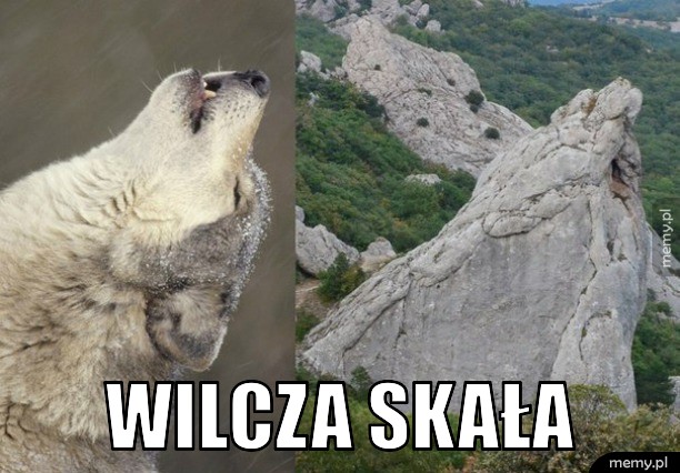 Wilcza skała.