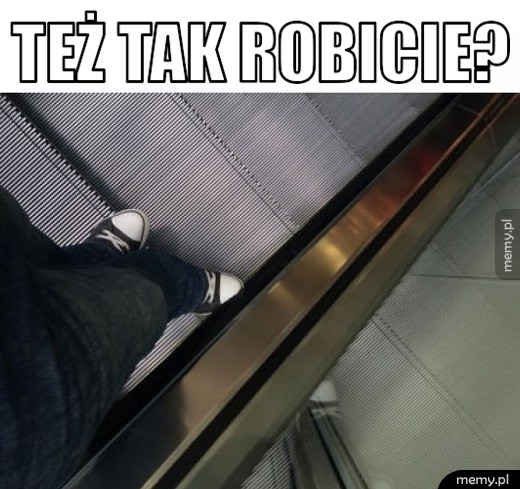 Ruchome schody