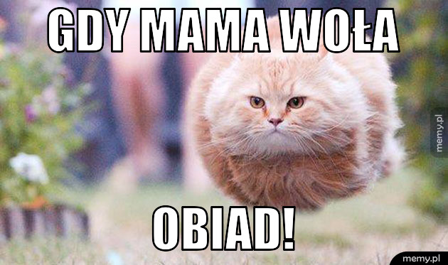 Gdy mama woła.