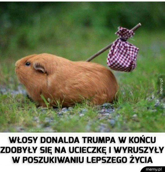 Ku lepszemu jutru!