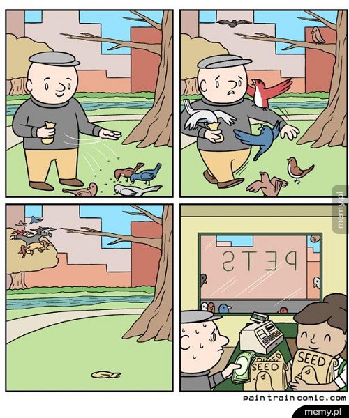 Gołębie
