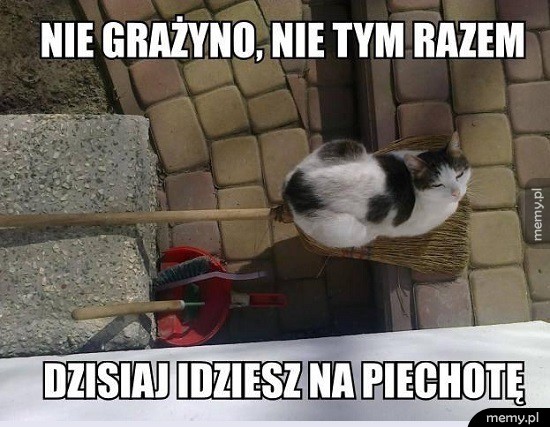 Nie tym razem