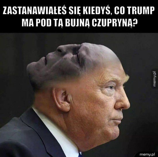 Tak jak podejrzewałem...