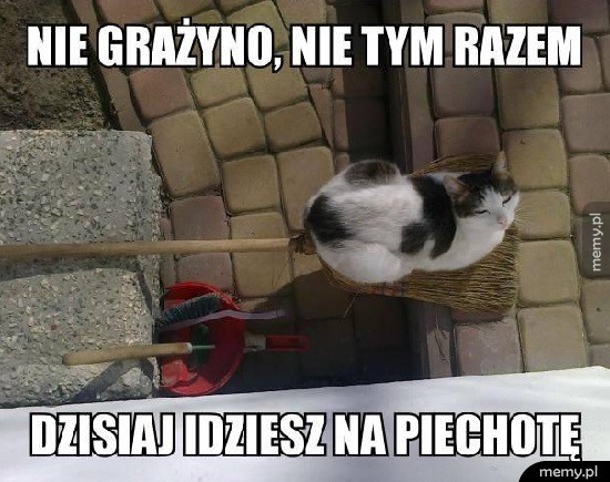 Nie tym razem