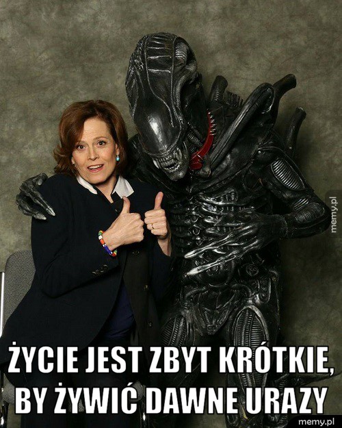Życie jest zbyt krótkie