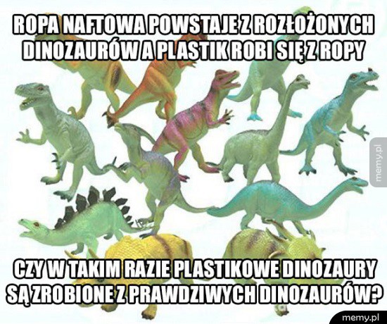Zagwostka ciekawostka