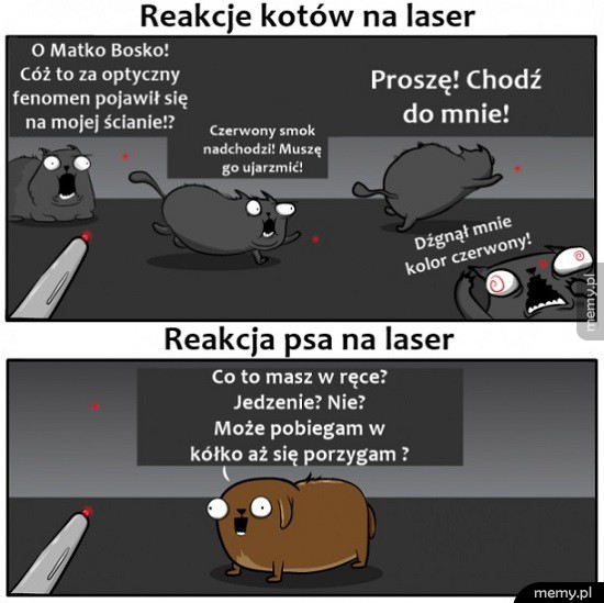 Laser