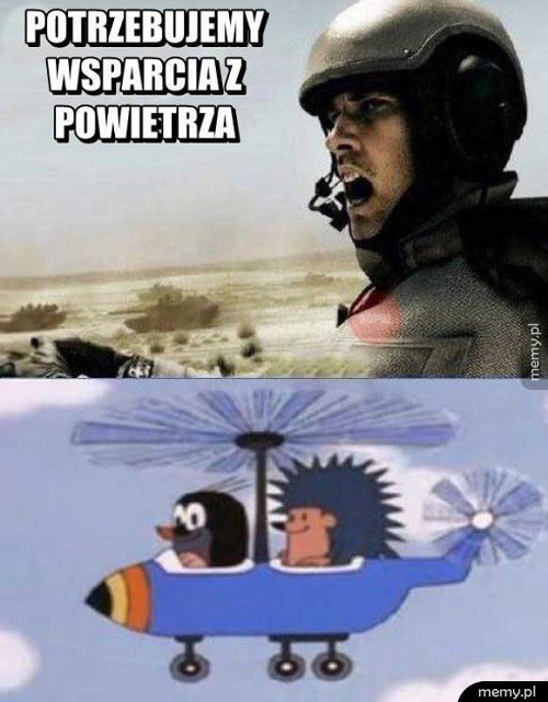 Wsparcie