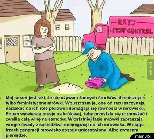 Feministyczne mrówki