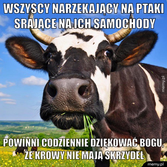 Do wszystkich narzekających