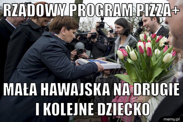 Rządowy program pizza+