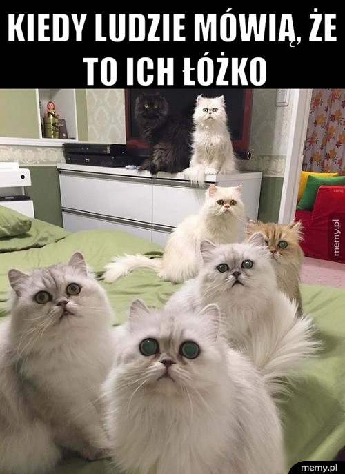 Koteły
