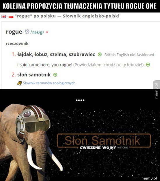 Pasuje idealenie