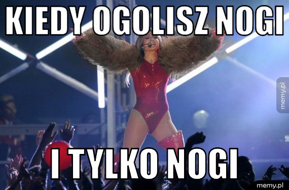Nogi
