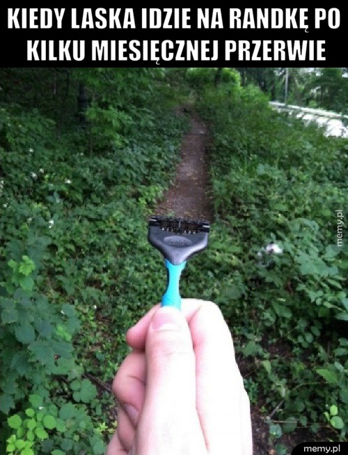 Kiedy laska idzie na randkę...