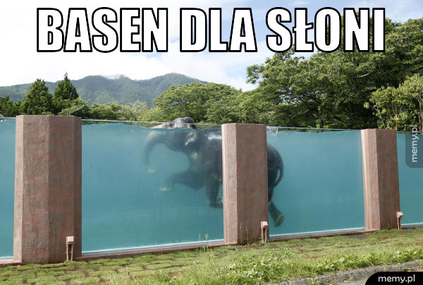           Basen.