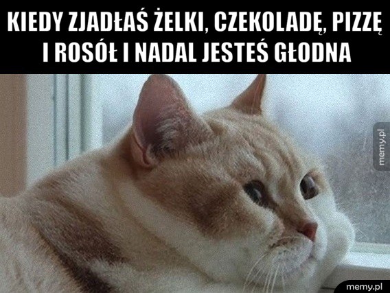 Jak żyć?