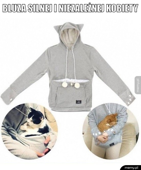 Bluza