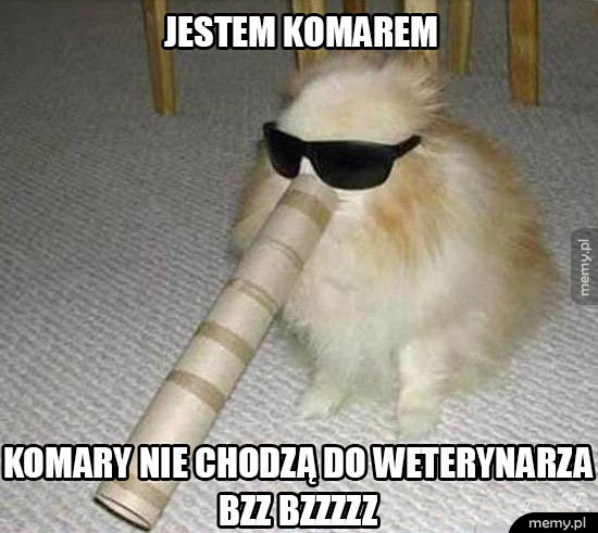 Bzz Bzzzz