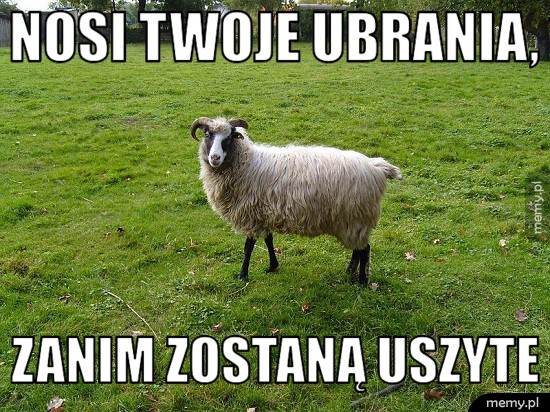 I kto jest prawdziwym hipsterem?