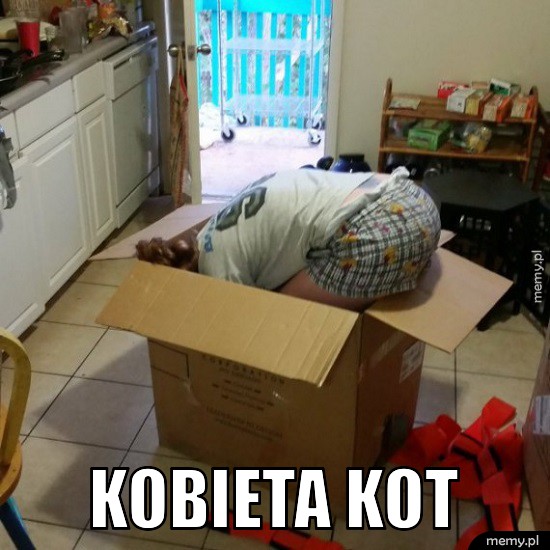 Kobieta kot
