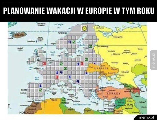 Wakacje w tym roku