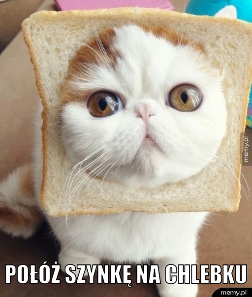 Połóż szynkę na chlebku.
