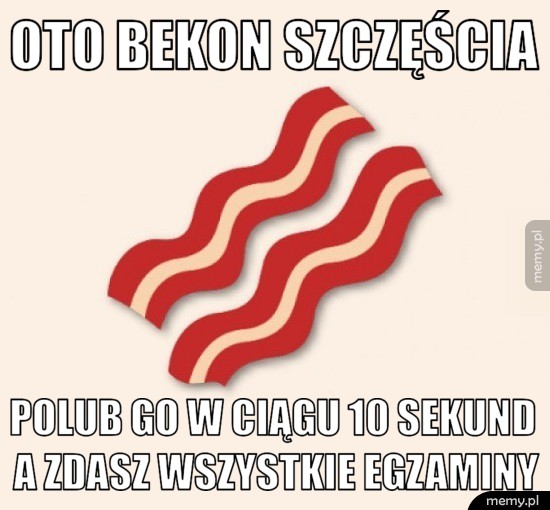 Bekon szczęścia